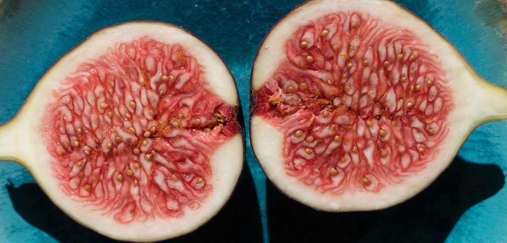 Fichi di Cosenza DOP – Riconoscimento di qualità